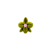 CATTLEYA EARCUFF