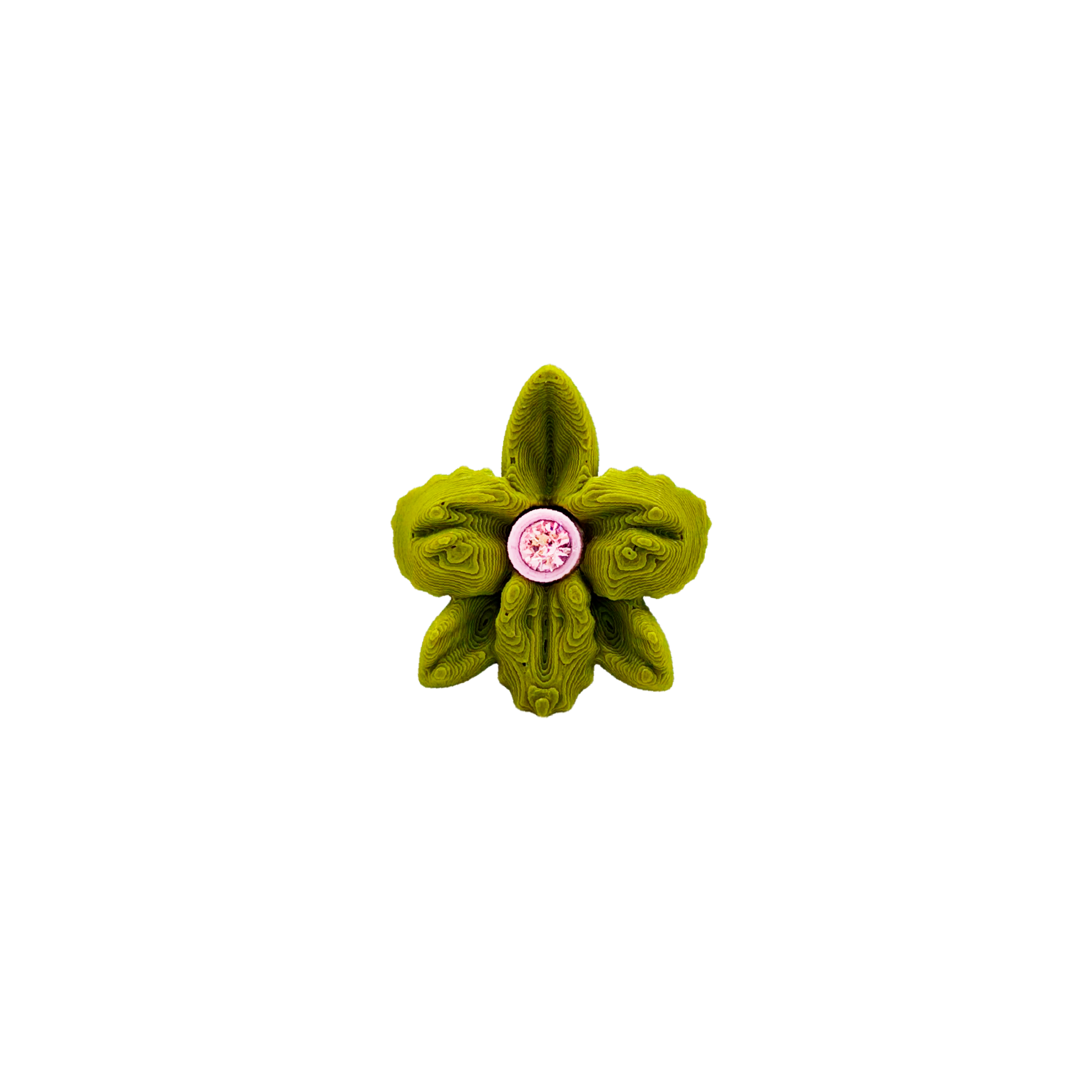 CATTLEYA EARCUFF