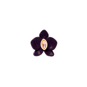 ORCHID EARCUFF